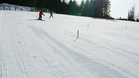 father and son skiing on snowy alps