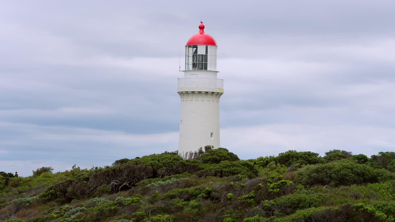 A lighthouse stands tall, partially visible through the surrounding bush, with its beacon shining over the coastal landscape.