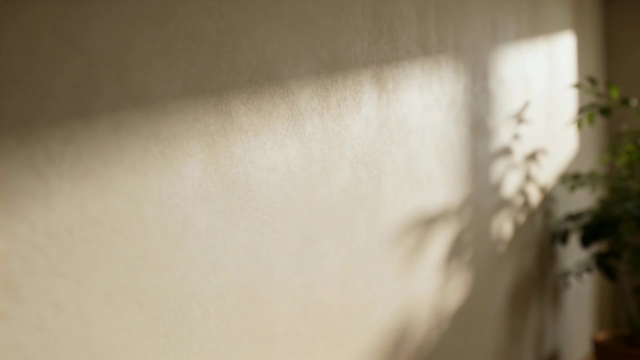 Shifting sunlight as sun shifts, casting potted-plant and window shadows on textured wall in corner