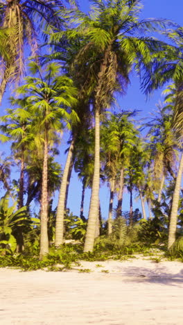 beautiful tropical beach with palm trees