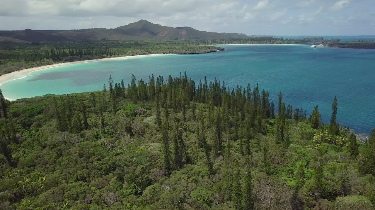 Aerial pullout over inlet and columnar pine trees, Isle of Pines, New Caledonia.