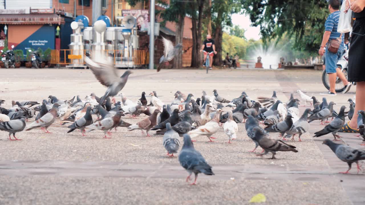 Chiang Mai Thailand after Lockdown