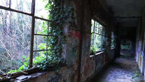 urban exploring - looking through an old broken window