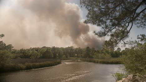 incendio de pantano de cinco millas en el condado de santa rosa desde mayo de 2020