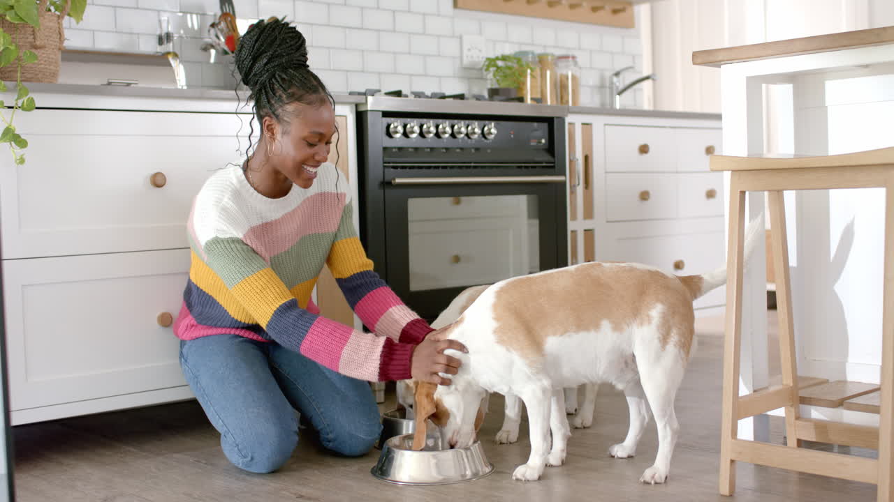 Giovane donna afroamericana che indossa un maglione colorato mentre dà da mangiare al cane, a casa.