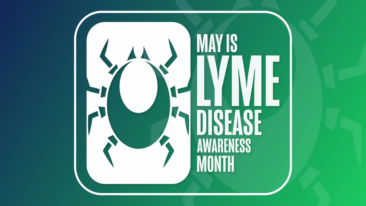 May is Lyme Disease Awareness Month. Flat holiday animation. Motion graphic design. 4K, HD loop footage.