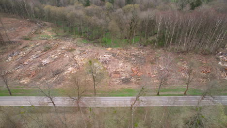 Luftaufnahme-Des-Holzeinschlagplatzes-Im-Wald---Drohnenaufnahme