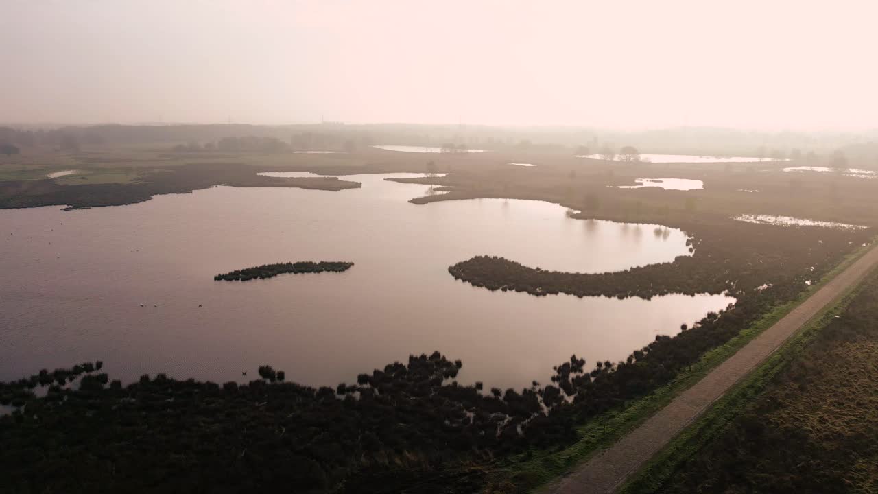 paisaje matutino brumoso sobre los humedales