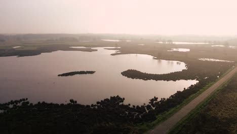 misty morning landscape over wetlands