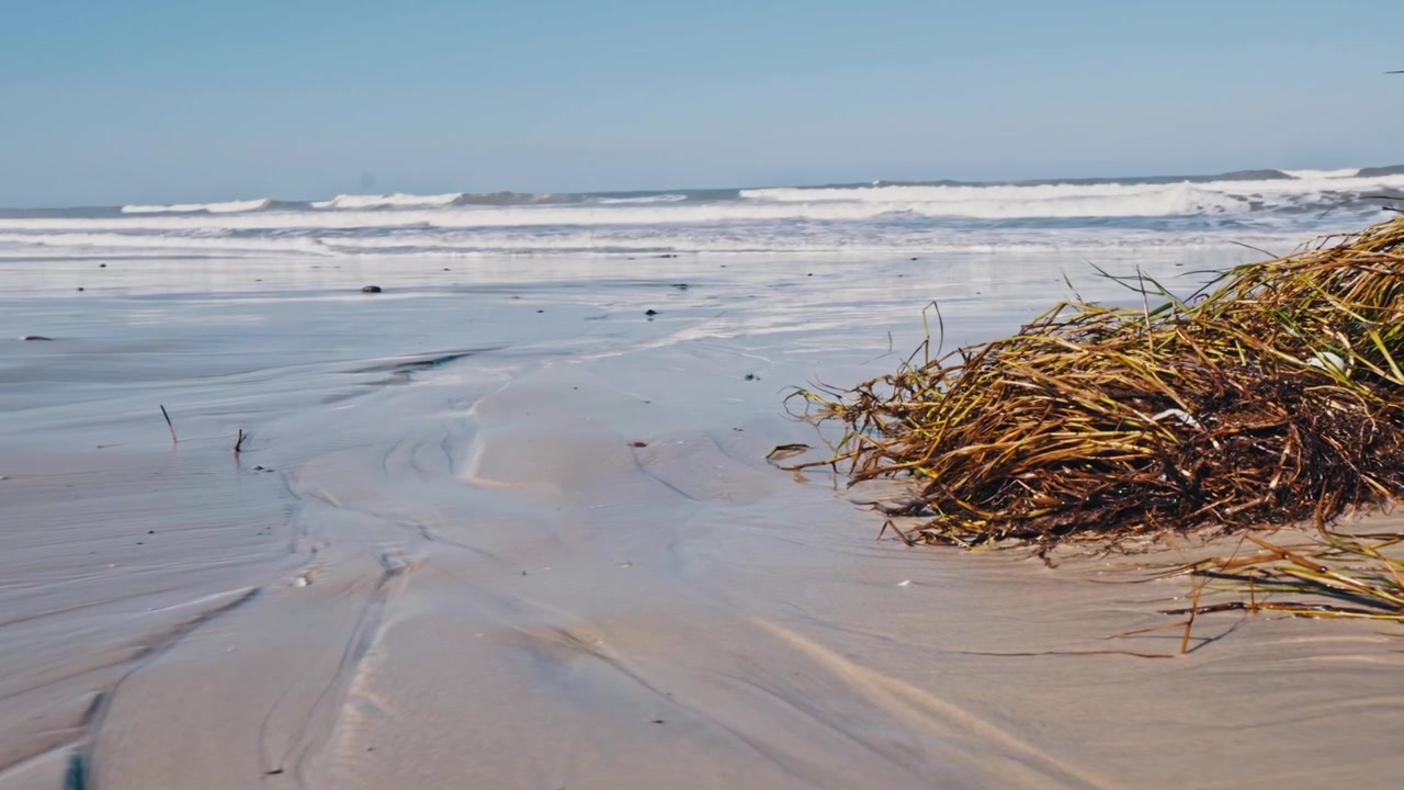 A static shot captures the serene beauty of ocean waves gently crashing onto a sandy beach, with a pile of seaweed in the foreground. This clip is ideal for projects related to nature, travel, and ...