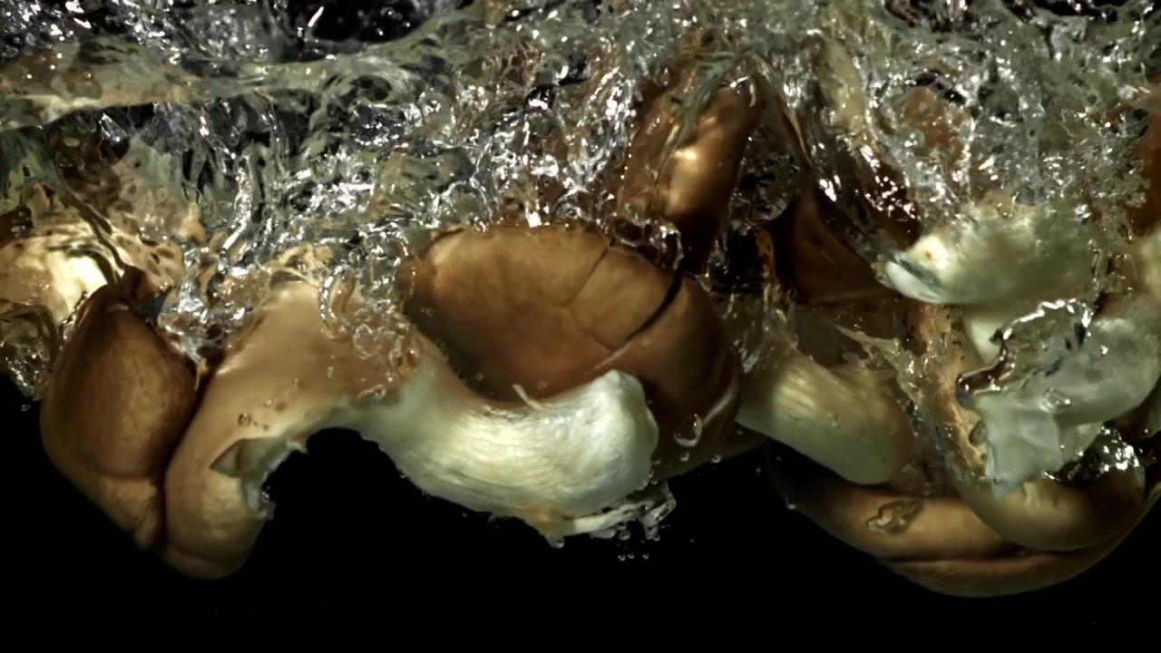 Fresh Oyster Mushrooms Splashing into Water in Slow Motion
