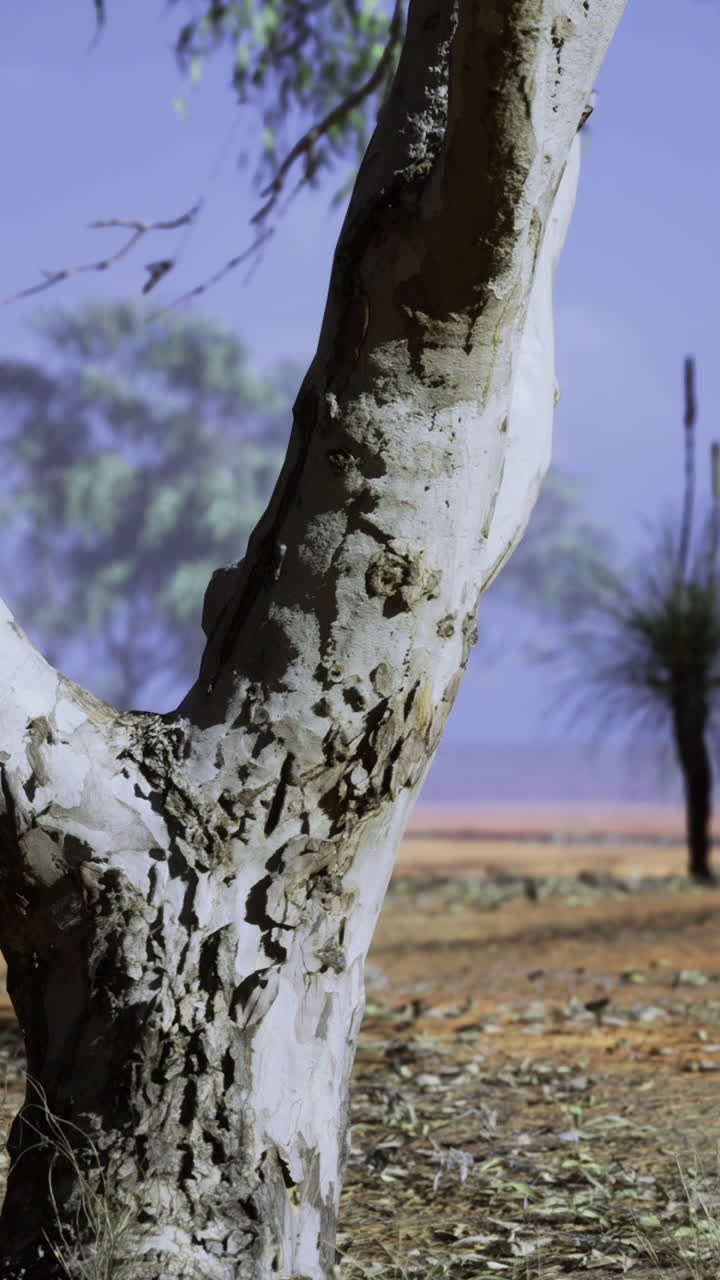 Sunlit wilderness landscapebeneath a vast