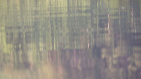 water reflection on a reservoir lake with green forest trees