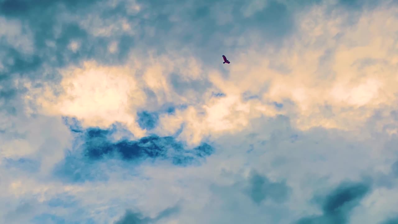 An Eagle Bird Soaring High Against Beautiful Sunset Sky With Dense Clouds. Slow Motion Shot