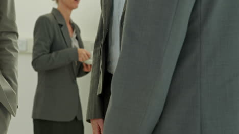 el equipo de hombres de negocios se estrecha la mano.