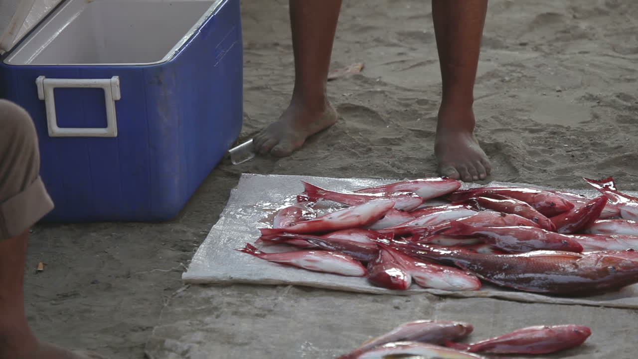 pescadores de zihua 31