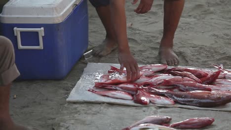 zihua fishermen 31