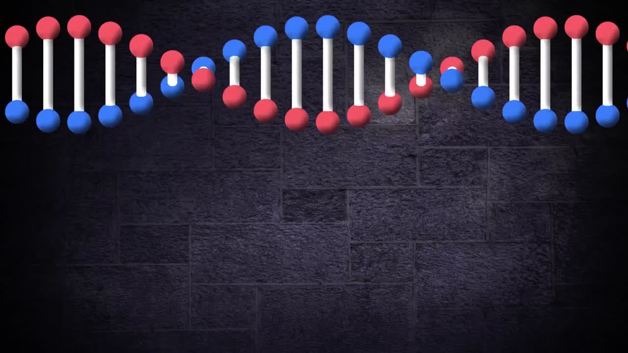 어두운 회색 돌 벽 배경 위에서 회전하는 dna 가닥의 애니메이션