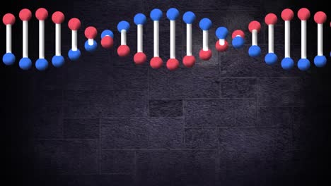 animación de una cadena de adn que gira sobre un fondo de piedra gris oscuro