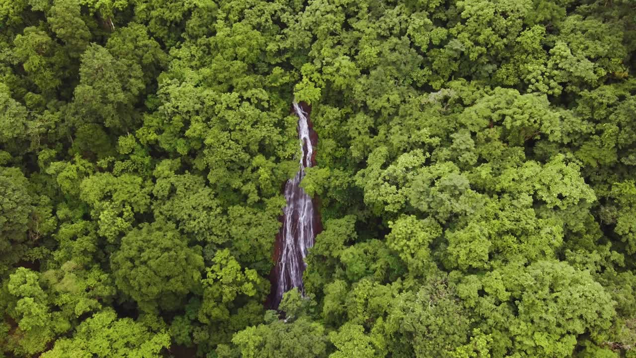 4k drone sobrevuela la exuberante selva verde en costa rica con la cascada de la fortuna fluyendo