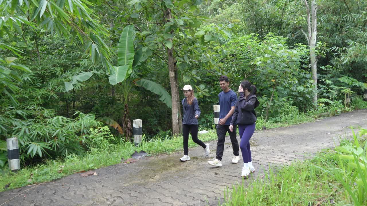 Group Hiking Through a Lush Forest