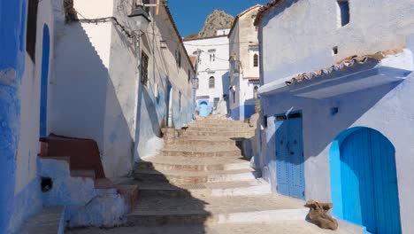 quaint architecture and blue doors of touristic city chefchaouen, morocco