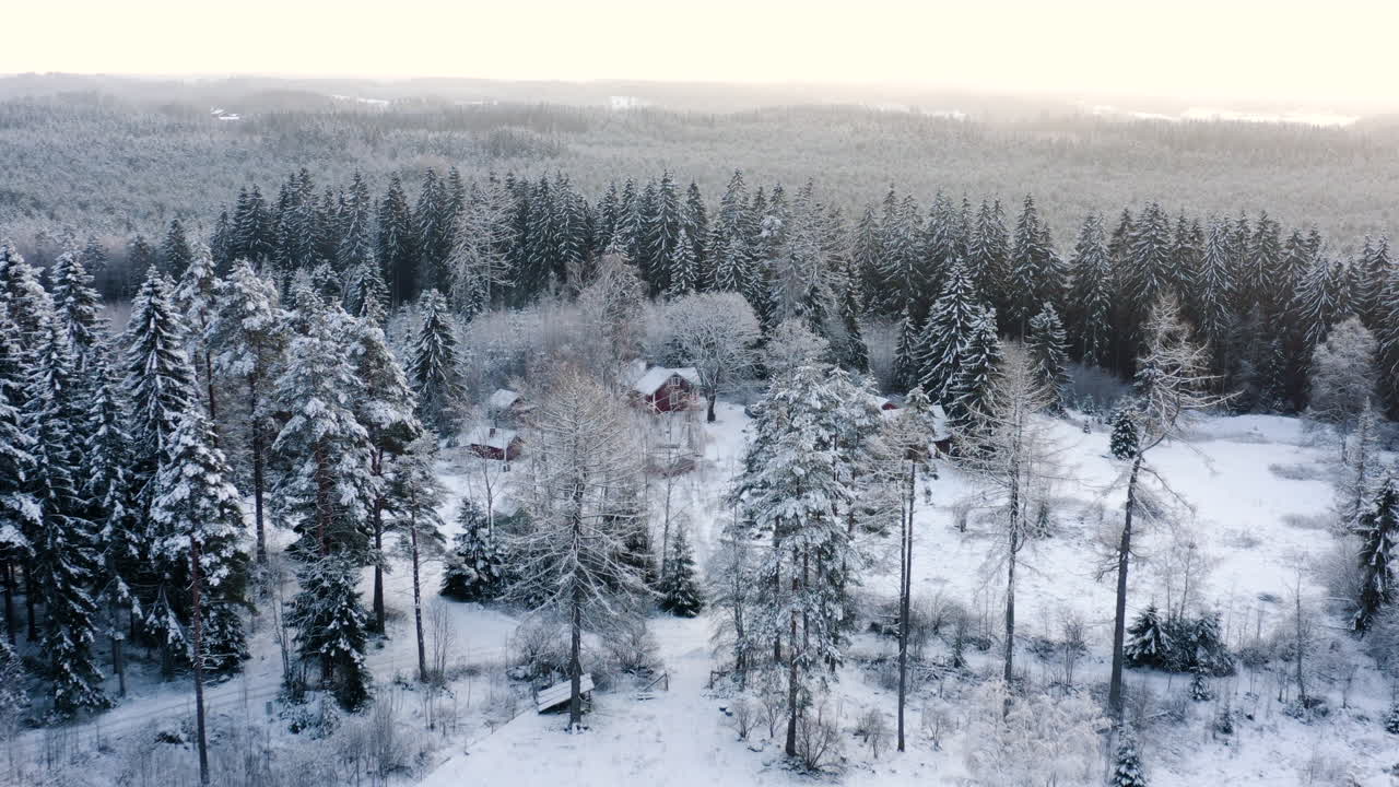 공중, 드론 샷, 눈 덮인 집, 눈 덮힌 숲 한가운데, 어둡고 흐린 겨울날, 핀란드 칸타하메 라미에서