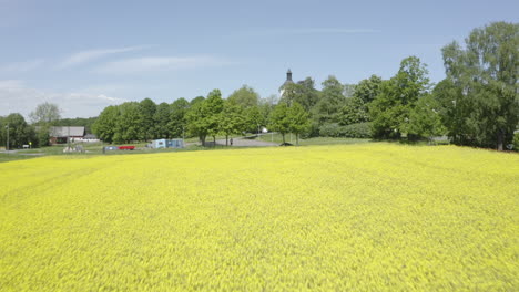 Vista-Aérea-Sobre-El-Paisaje-De-Campo-De-Canola-Amarillo-Con-Una-Iglesia-En-El-Fondo