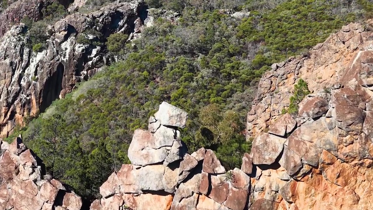 Elang ekor baji terbang melewati formasi batuan The Breadknife di Taman Nasional Warrumbungle, Australia