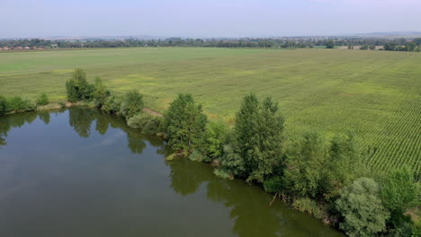 Pequeño-Lago-Con-árboles-Rodeado-De-Tierras-De-Cultivo