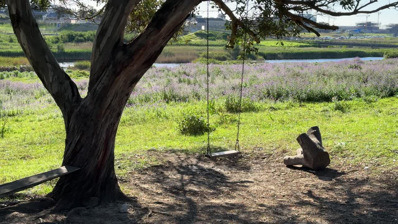 A swing in a meadow in Cape Town, South Africa