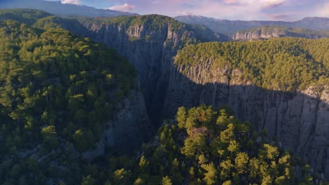 aerial view of a mountain valley with a canyon and forest