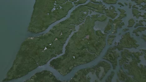 saint colombier marsh area, morbihan in brittany, france