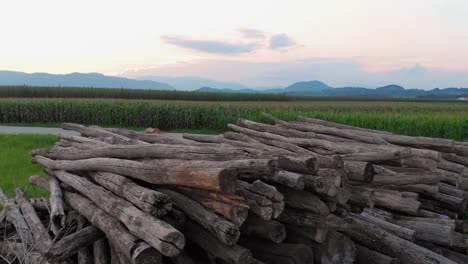 Ein-Glatter-Schuss-Eines-Holzhaufens-Auf-Dem-Feld-Mit-Schönem-Himmel