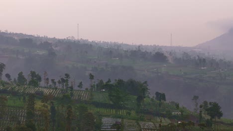 scenic aerial view of tropical farmland with tiered plantations and forested slopes, lightly veiled in early morning mist. indonesia tropical rural scenery