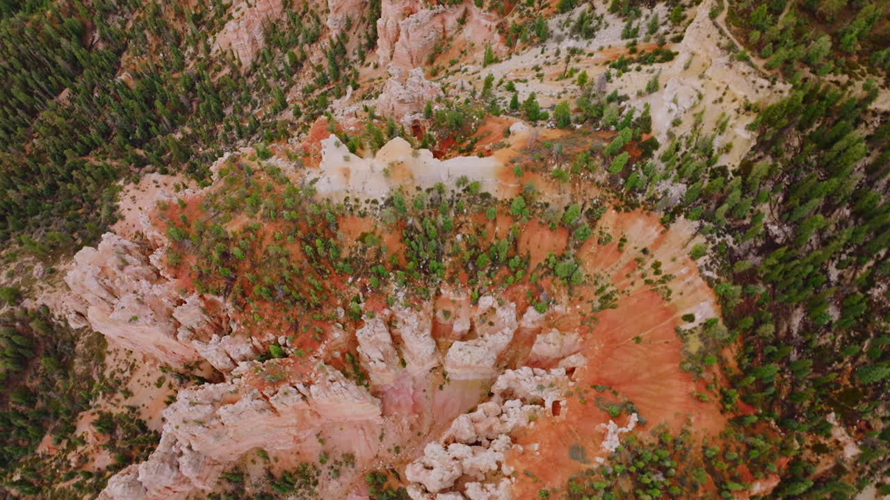Pine trees growing on the canyon outlandish rocks. Outstanding Bryce National Park, Utah, United States from aerial view.