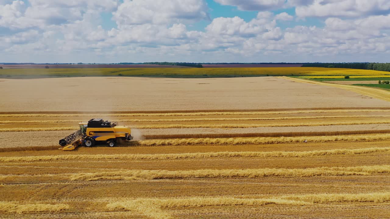 Agricultural combine working on the field. Modern machinery harvesting grains on the background of beautiful summer landscape in the countryside.