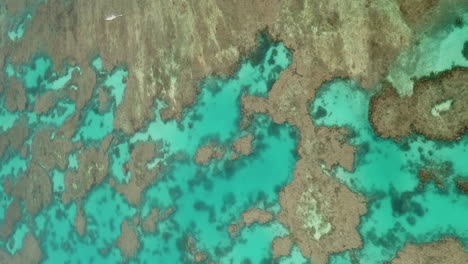 órbita aérea sobre arrecifes de coral en aguas cristalinas de isla de pinos, nueva caledonia