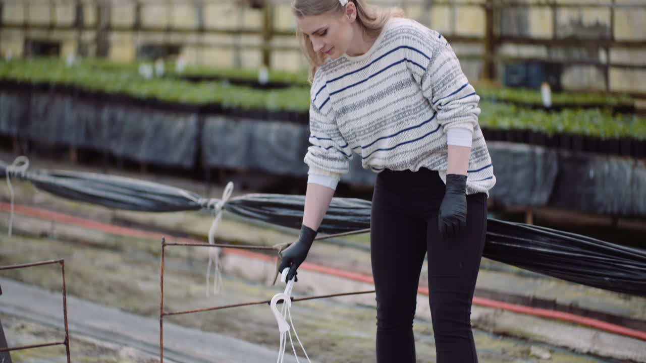 jardinero femenino que trabaja en la plantación de flores