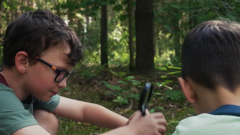 dos niños descubriendo algo en el bosque.