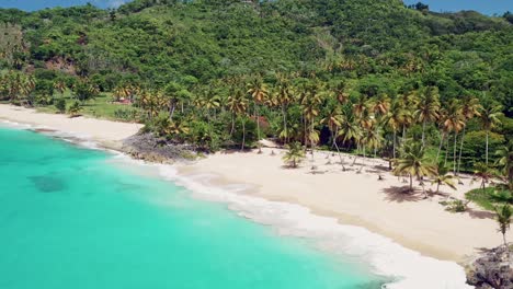 Vista-Aérea-De-La-Costa-De-Arena-Blanca-Con-Un-Exuberante-Bosque-Tropical-En-Playa-Colorada,-Las-Galeras,-Samana,-República-Dominicana