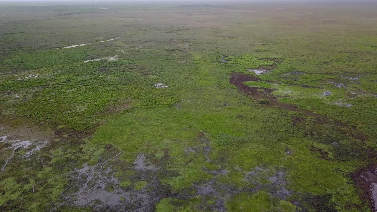 humedales del noreste de argentina disparados con drones