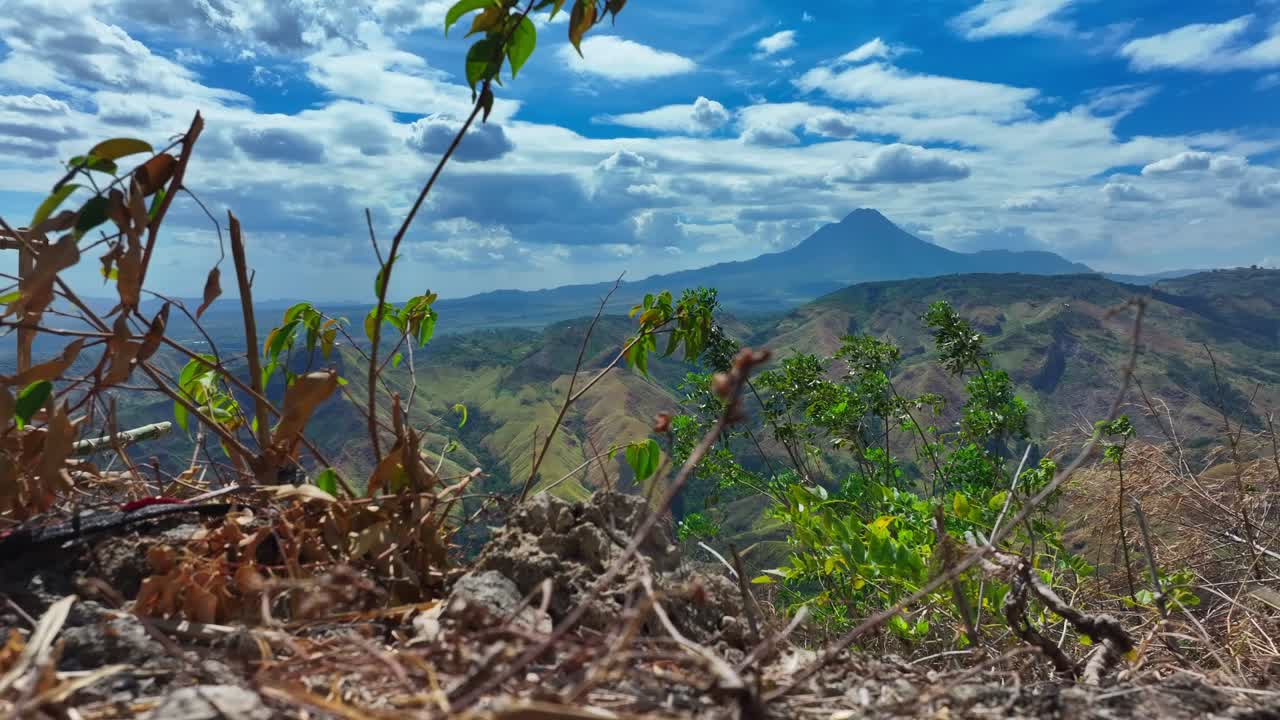 Paisaje verde de Filipinas con carretera y plantas verdes durante un día soleado