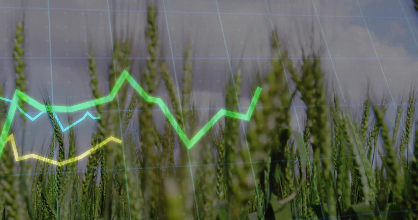 Wanneer het raster vervaagt boven een graanveld, reizen veelkleurige lijnen over een digitaal raster dat trends toont.