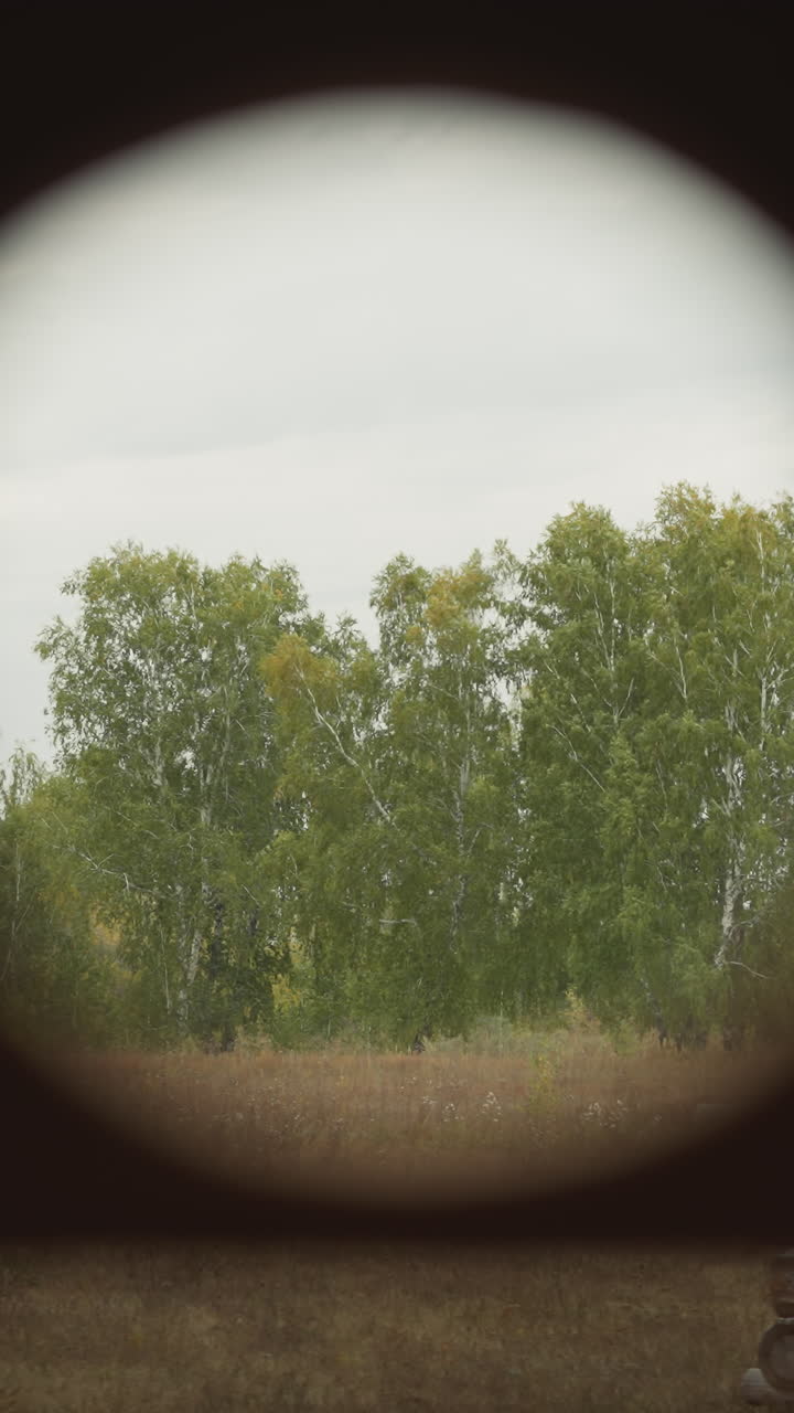 el guerrero mira a través de binoculares inspeccionando el bosque de abedul. el soldado espera al enemigo en emboscada usando un dispositivo de seguimiento óptico. espiar desde un lugar discreto