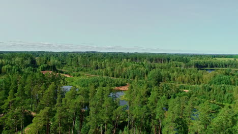 aerial drone forward moving shot over a lake in the middle of the forest with green trees on a sunny day