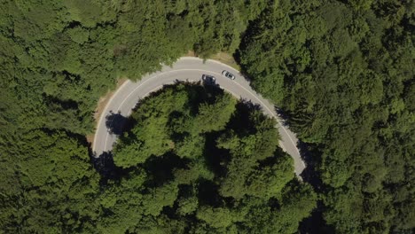 oncoming traffic at a tight curve, topdown droneshot from above, high resolution, steady shot from birds eye view over green trees at the summer daytime