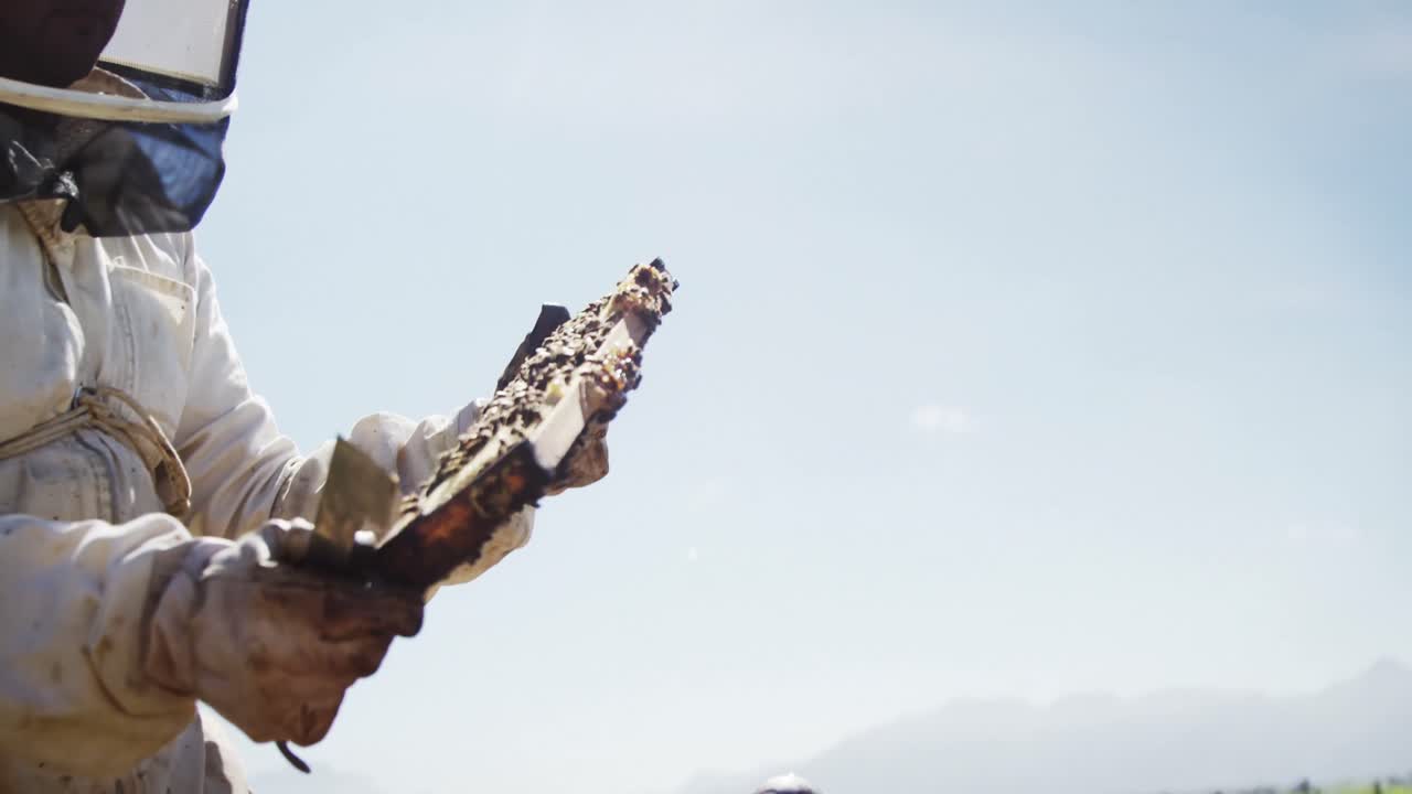 벌 키우는 사람 이 벌집 의 틀 을 검사 하고 있다