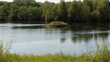 Sparham-Pools,-Nature-reserve-looking-south-on-to-the-lake