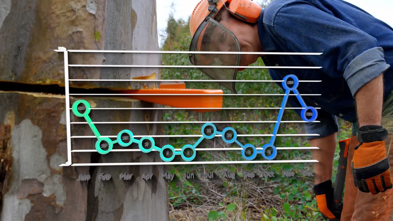 lumberjack 위의 그래프의 애니메이션